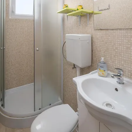 Pet Friendly In * Tinjan