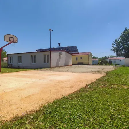 Pet Friendly In * Tinjan